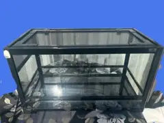 2026年最新】パンテオン 6035の人気アイテム - メルカリ