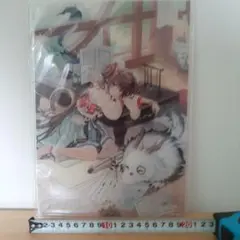 2026年最新】放置少女の人気アイテム - メルカリ