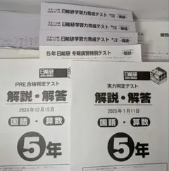 2026年最新】日能研 育成テスト 5年の人気アイテム - メルカリ