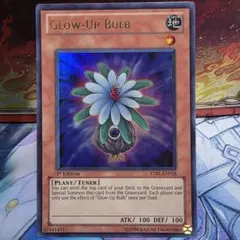 2026年最新】グローアップバルブ 英語の人気アイテム - メルカリ