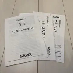 2026年最新】sapix 1年生の人気アイテム - メルカリ