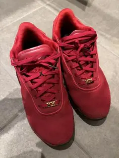 2026年最新】LIVERPOOL lebronの人気アイテム - メルカリ