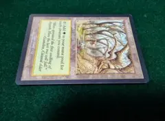 2026年最新】ガイアの揺籃の地の人気アイテム - メルカリ