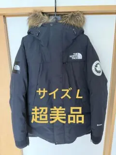2026年最新】ノースフェイス アンタークティカパーカ lの人気アイテム
