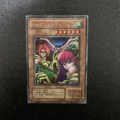 2026年最新】ハーピィレディ三姉妹 パラレルの人気アイテム - メルカリ