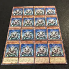 2026年最新】合計枚数/個数：16枚 遊戯王OCG デュエルモンスターズの