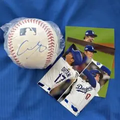 2026年最新】佐々木朗希サインボールの人気アイテム - メルカリ