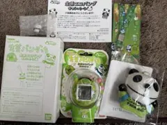 2026年最新】生茶パンダっちの人気アイテム - メルカリ