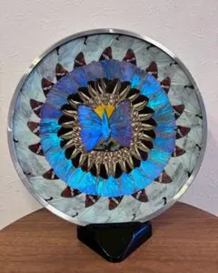 2026年最新】モルフォ蝶 皿の人気アイテム - メルカリ