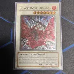 2026年最新】ブラックローズドラゴン レリーフ 英語の人気アイテム