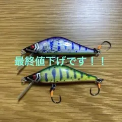 2026年最新】ハンドメイドミノーの人気アイテム - メルカリ