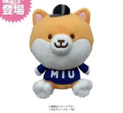 2026年最新】ポリまる ぬいぐるみの人気アイテム - メルカリ