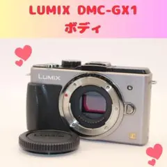 2026年最新】lumix gx1の人気アイテム - メルカリ