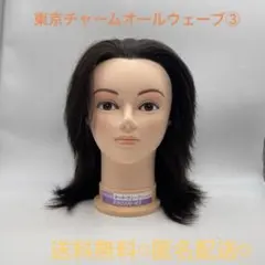 2026年最新】国家試験ウィッグの人気アイテム - メルカリ