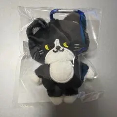 2026年最新】イェソン ぬいぐるみの人気アイテム - メルカリ