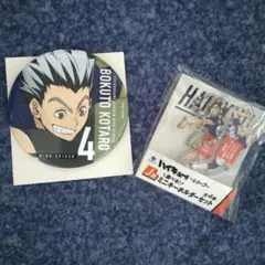 2026年最新】木兎光太郎 缶バッジの人気アイテム - メルカリ