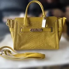 2026年最新】コーチパイソン バッグの人気アイテム - メルカリ