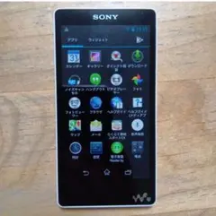 2026年最新】NW-F805の人気アイテム - メルカリ