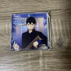 2026年最新】ハイキュー ブロッキーの人気アイテム - メルカリ