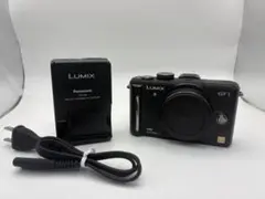 2026年最新】lumix GF1の人気アイテム - メルカリ