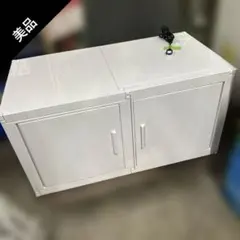 2026年最新】冷やし虫家の人気アイテム - メルカリ