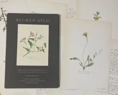 2026年最新】elsa felskoの人気アイテム - メルカリ