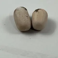 2026年最新】エンセ ホリダスの人気アイテム - メルカリ