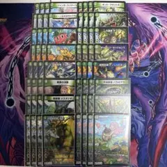 2026年最新】キャベッジ 緑単の人気アイテム - メルカリ