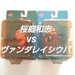 2026年最新】ヴァンダレイ・シウバの人気アイテム - メルカリ