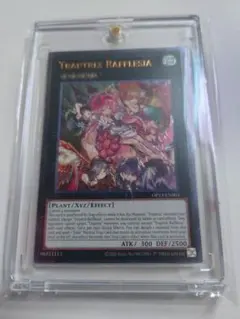 2026年最新】フレシアの蟲惑魔 レリーフの人気アイテム - メルカリ