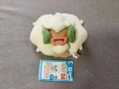 2026年最新】ぬいぐるみ my ポケモン コレクションの人気アイテム