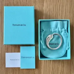 2026年最新】エターナルサークルキーリングの人気アイテム - メルカリ