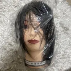 2026年最新】国家試験本番用カットウィッグの人気アイテム - メルカリ