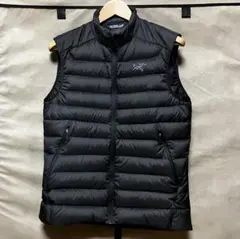 2026年最新】アークテリクス ダウンベストの人気アイテム - メルカリ