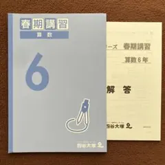 2026年最新】四谷大塚春期講習6年の人気アイテム - メルカリ