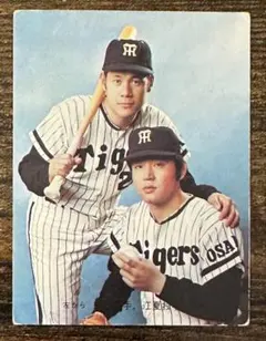 2026年最新】プロ野球カード田淵幸一1973年の人気アイテム - メルカリ