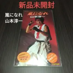 2026年最新】山本淳一の人気アイテム - メルカリ