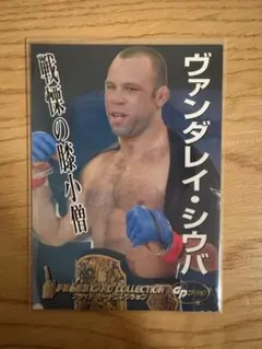 2026年最新】ヴァンダレイの人気アイテム - メルカリ