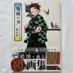 2026年最新】鬼滅の刃 初版帯の人気アイテム - メルカリ