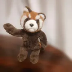 2026年最新】三英 ぬいぐるみ アライグマの人気アイテム - メルカリ