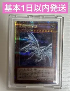 2026年最新】青眼の亜白龍 未開封の人気アイテム - メルカリ