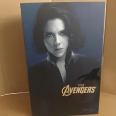 2026年最新】ホットトイズ ブラックウィドウの人気アイテム - メルカリ