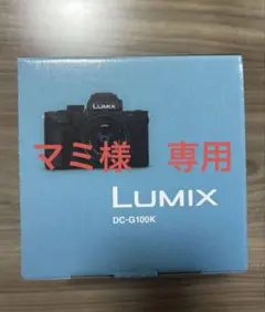 2026年最新】lumix g100の人気アイテム - メルカリ