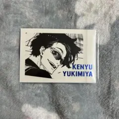 2026年最新】ぱしゃこれ 雪宮の人気アイテム - メルカリ