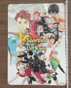 2026年最新】SPORTIVA ハイキュー ビジュアルボードの人気アイテム