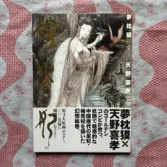 2026年最新】天野喜孝 画集の人気アイテム - メルカリ