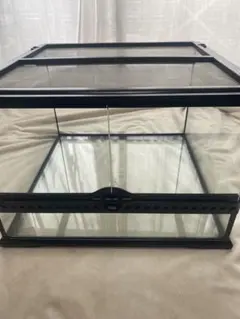 2026年最新】グラステラリウム4530の人気アイテム - メルカリ