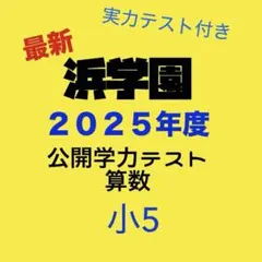 2026年最新】浜学園公開テスト小5の人気アイテム - メルカリ