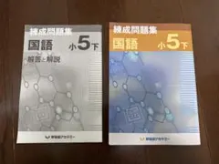 2026年最新】早稲アカ 錬成 小5の人気アイテム - メルカリ