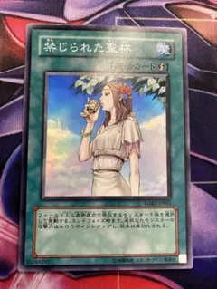 2026年最新】禁じられた聖杯の人気アイテム - メルカリ